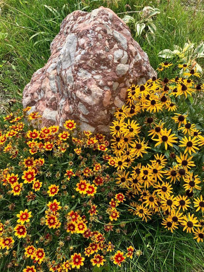 Appartement Naturbunt Söll Exteriér fotografie