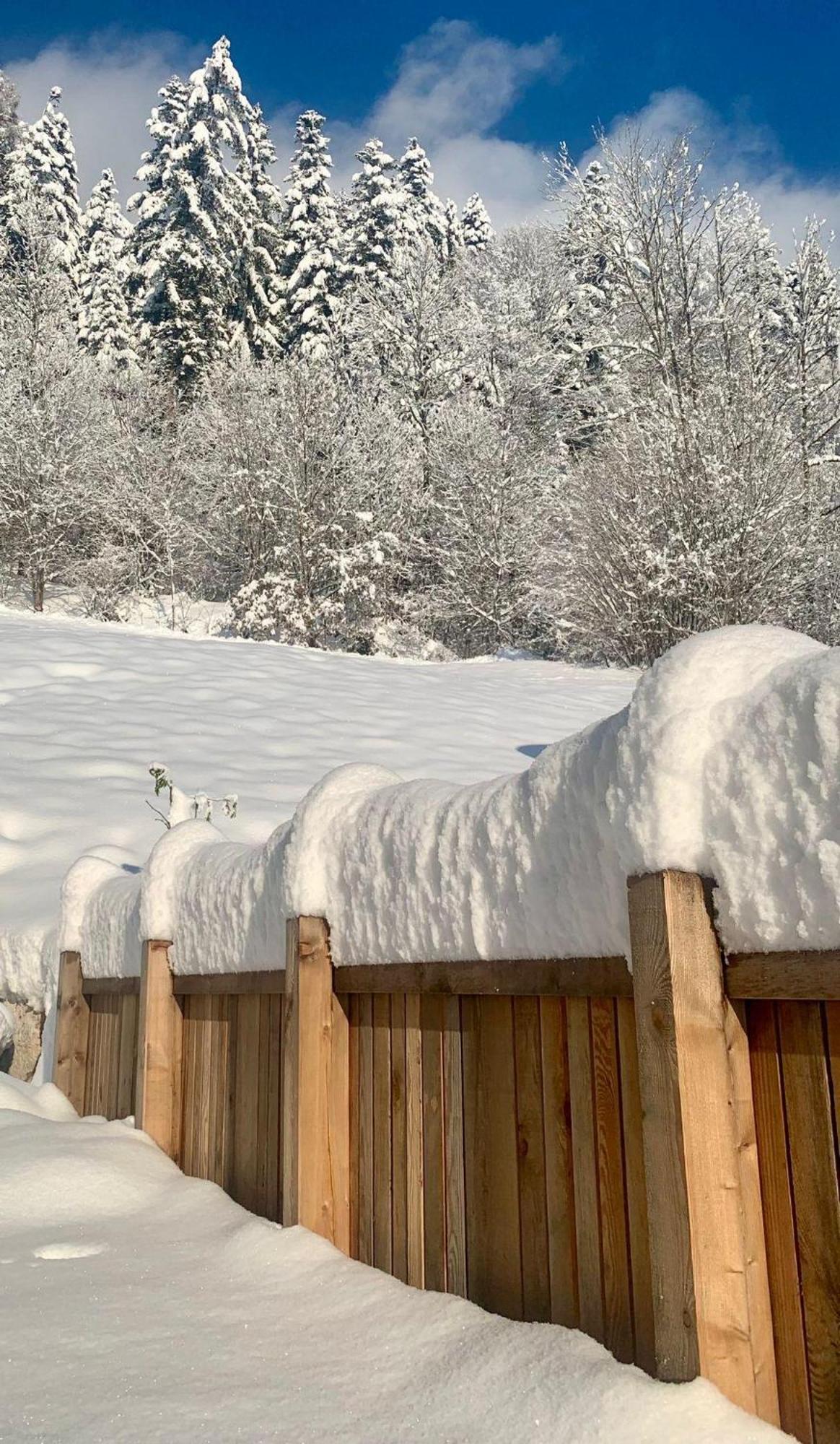 Appartement Naturbunt Söll Exteriér fotografie